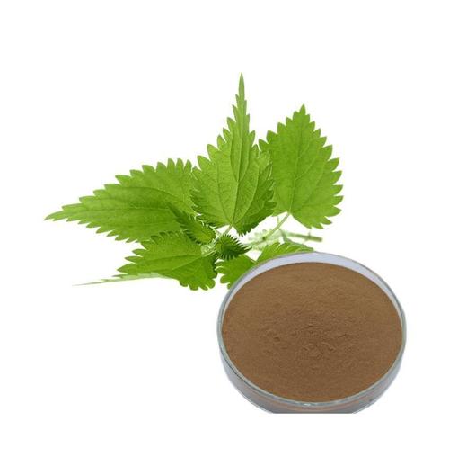 Lulairoa 100% Pure Nettle Root High Potency 20:1 Extract Powder , 200 grams | 500 grams | 1000 grams