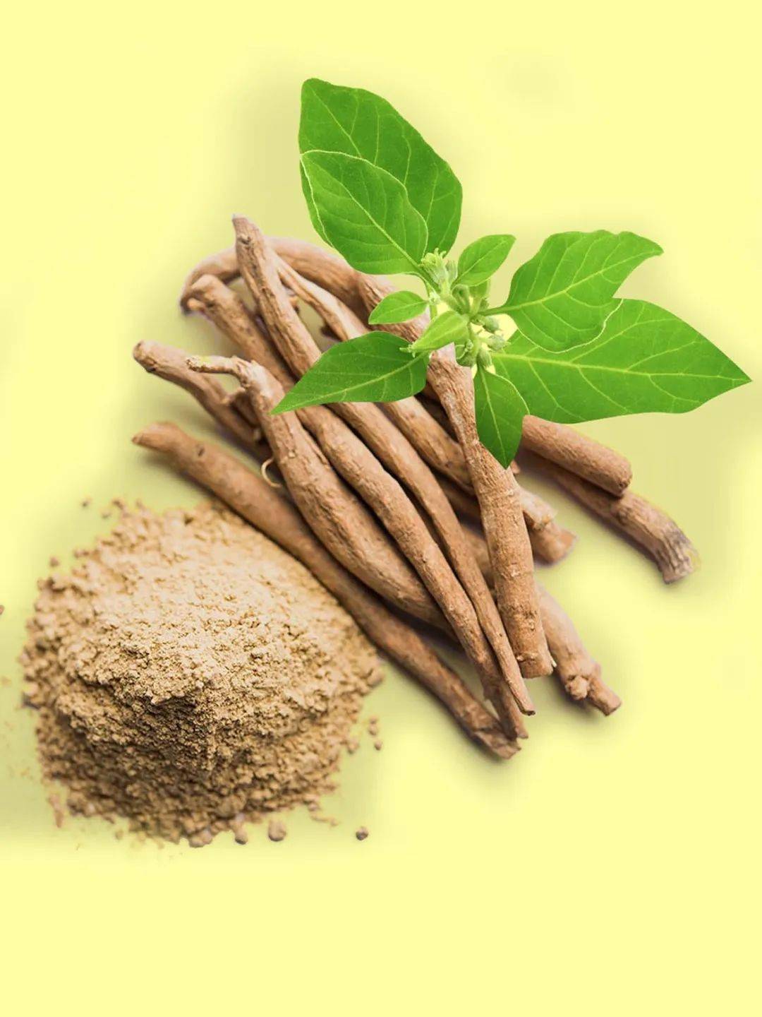 Bright sunlight Indian Ginseng / Ashwagandha Root Extract 20:1 Powder , 200 grams - 1000 grams