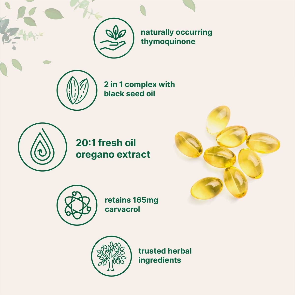 Oil of Oregano 6000mg 300 Softgels Capsules Black Seed Oil Immune Antioxidant
