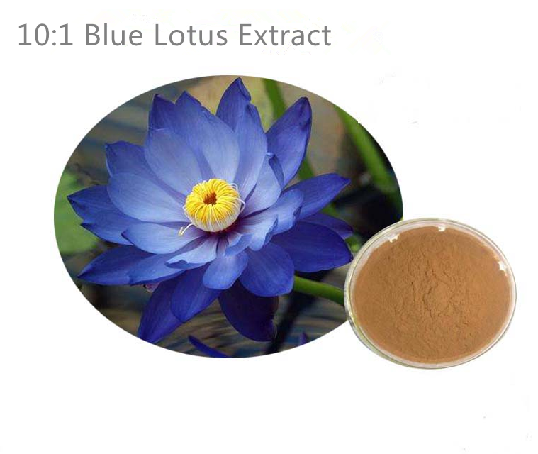 Bright sunlight Blue Lotus Flower Extract 10:1/ Nymphaea caerulea - 200 grams - 1000 grams