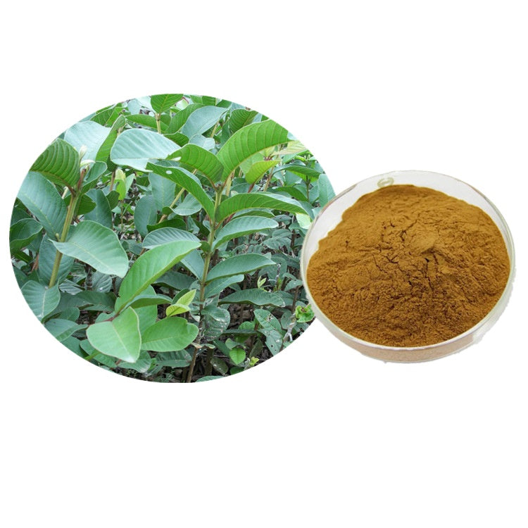 Lulairoa Guava Leaf 10:1 Extract , 200 grams | 500 grams | 1000 grams