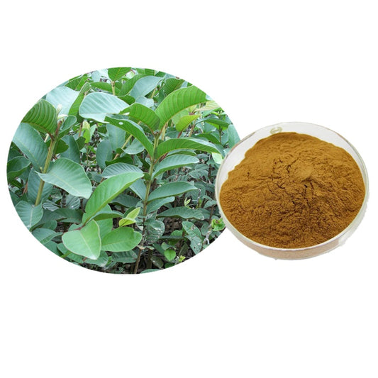 Lulairoa Guava Leaf 10:1 Extract , 200 grams | 500 grams | 1000 grams