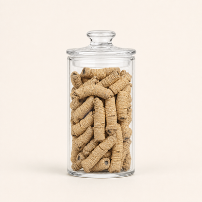 Ba Ji Tian High Quality Chinese Herb Morinda Officinalis Root