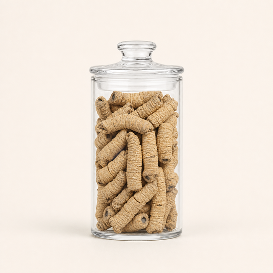 Ba Ji Tian High Quality Chinese Herb Morinda Officinalis Root