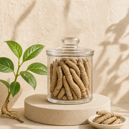 Ba Ji Tian High Quality Chinese Herb Morinda Officinalis Root