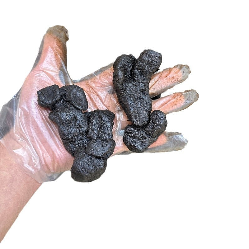 Chinese Herbs Huang Jing Sealwort Rhizoma Polygonati，9 Steaming and Drying - 250g (9OZ) / 500g (1.1lb)