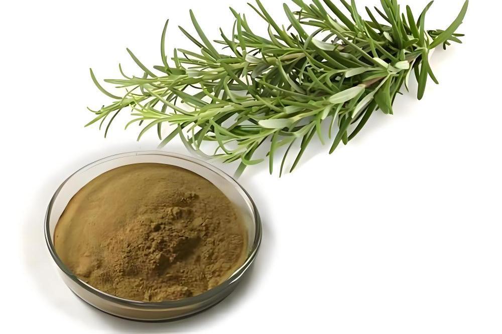 Lulairoa Rosemary Extract 5% Carnosic Acid Powder , 200 grams - 1000 grams