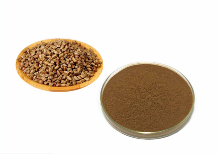 Lulairoa Cassia Seed Extract 20:1 Powder , 200 grams | 500 grams | 1000 grams