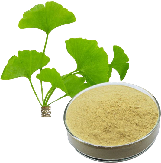 Lulairoa Ginkgo Biloba Leaf 20:1 Extract , 200 grams - 1000 grams
