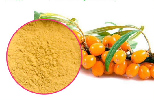 100% Natural High Quality Organic Sea Buckthorn Juice Powder