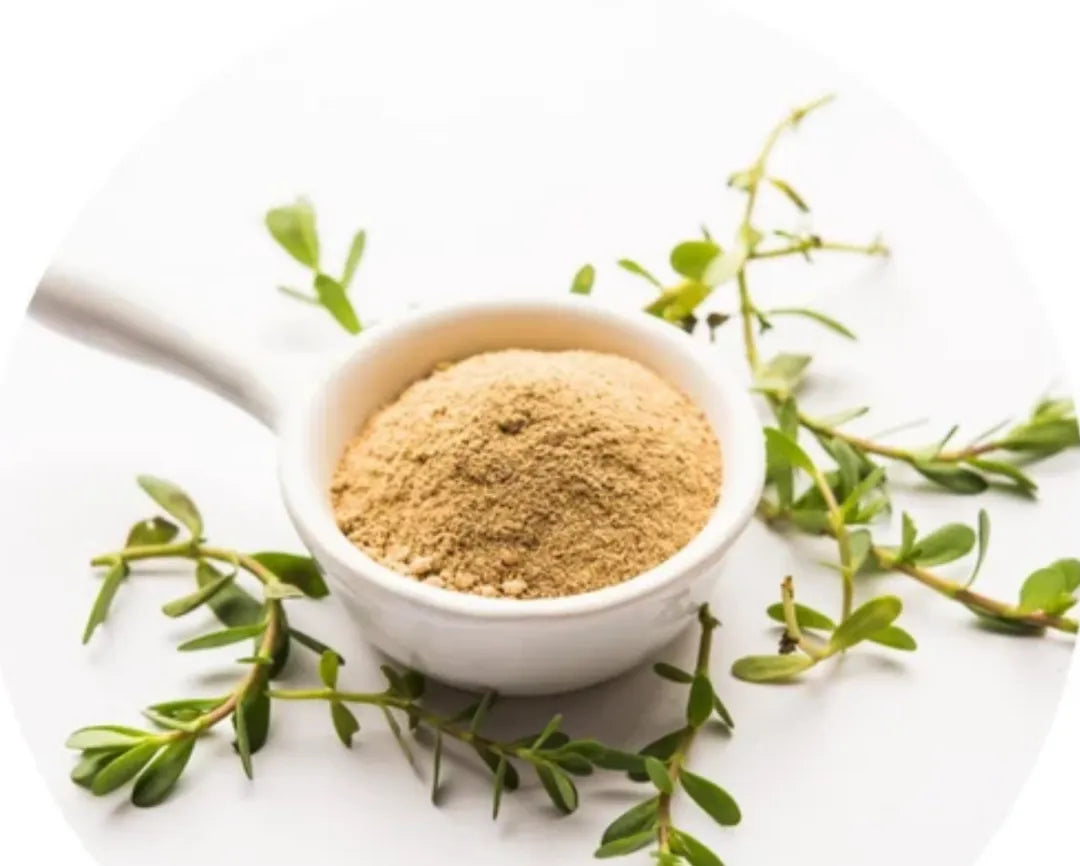 Lulairoa Bacopa Monnieri 20:1 Extract Powder 200 grams-1000 grams