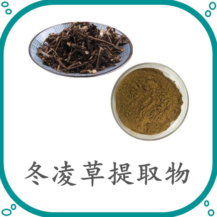 Lulairoa Rabdosia Isodon Rubescens Extract 20:1 Powder Dong Ling Cao , 200 grams - 1000 grams
