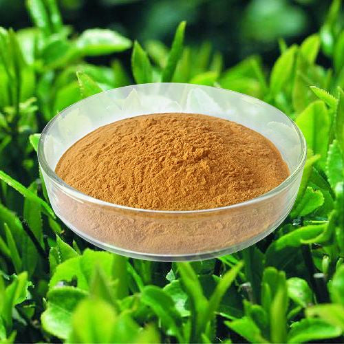 Bright sunlight Tea polyphenols 98% Green Tea Leaf Extract EGCG Antioxidant , 200 grams - 1000 grams
