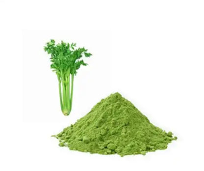 Celery Juice Powder Fresh Vegetables Extract Dried Leaves Celery Powder