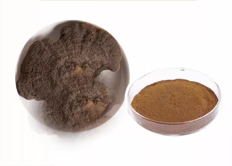 Bright sunlight Huai Er, Trametes Robiniophila Extract 20:1 Powder , 200 grams - 1000 grams