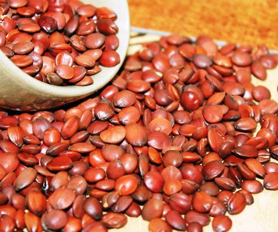 Suan Zao Ren Wild Jujube Seed Natural Semen Ziziphi Spinosae