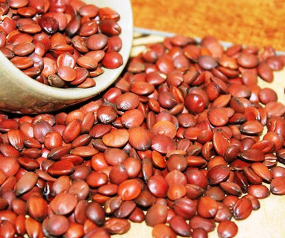 Suan Zao Ren Wild Jujube Seed Natural Semen Ziziphi Spinosae