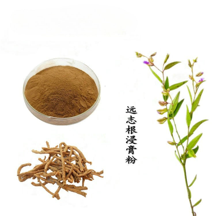 Bright sunlight Polygala Tenuifolia 20:1 Extract Powder Yuan zhi  -  200 grams / 500 grams / 1000 grams