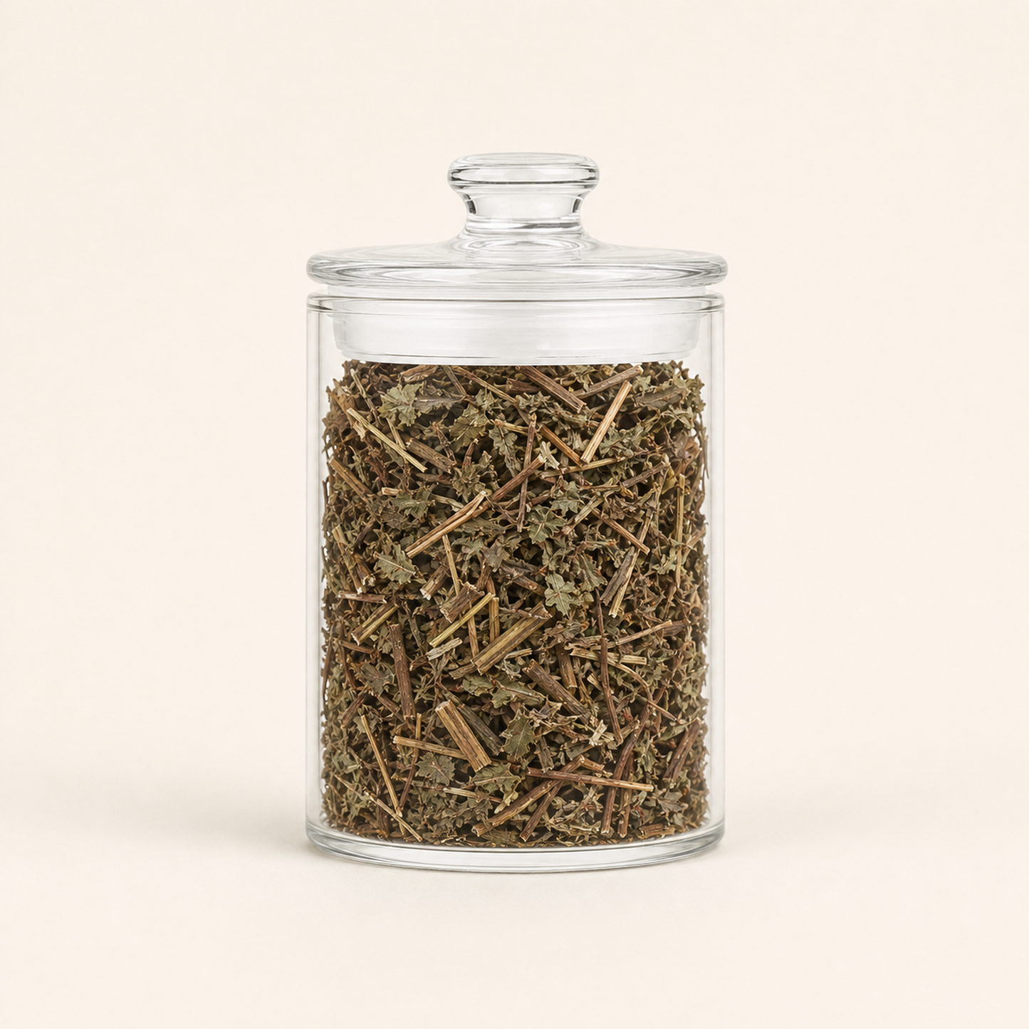 Dong Ling Cao Traditional Chinese Herb Rabdosia Rubescens