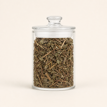 Dong Ling Cao Traditional Chinese Herb Rabdosia Rubescens