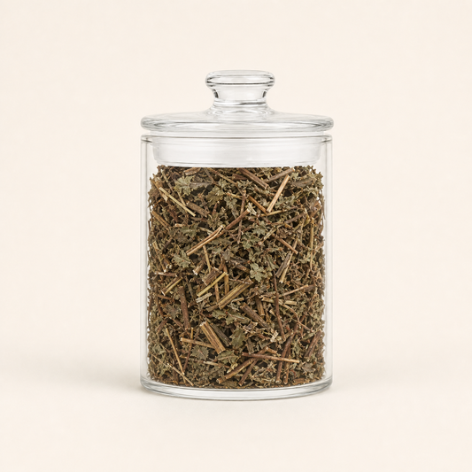 Dong Ling Cao Traditional Chinese Herb Rabdosia Rubescens