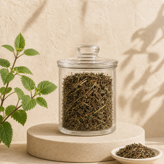 Dong Ling Cao Traditional Chinese Herb Rabdosia Rubescens