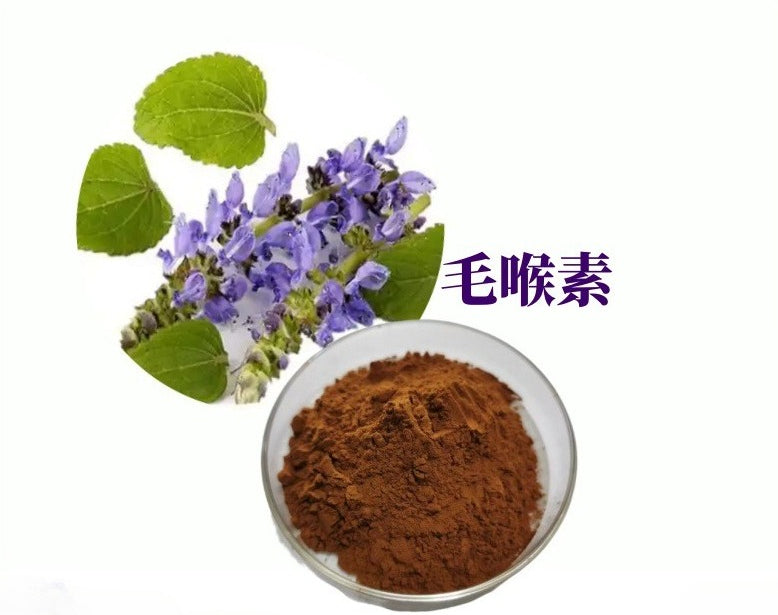 Bright sunlight Coleus Forskohlii 10:1 Extract Powder Forskolin , 200 grams - 1000 grams
