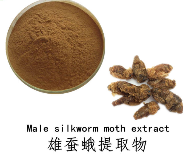 Bright sunlight Pure Male silkworm Moth Extract 20:1 Powder , 200 grams - 1000 grams