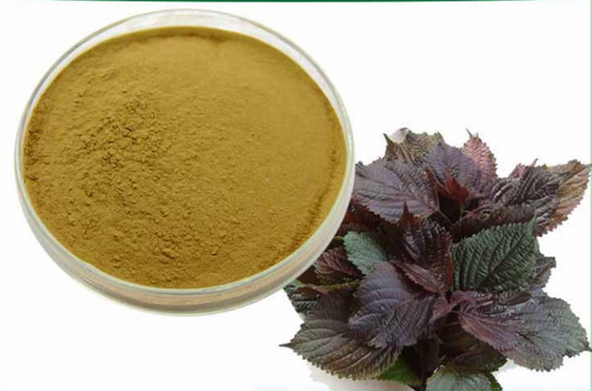 Lulairoa Perilla Frutescens Leaf 10:1 Extract Powder, 200 grams - 1000 grams