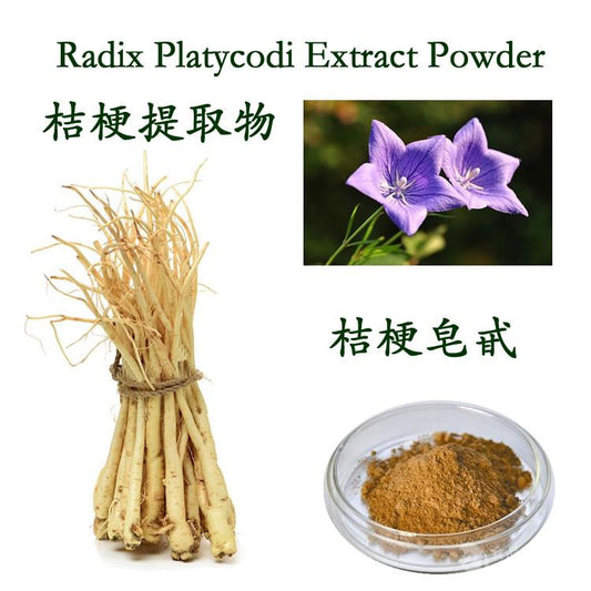 Lulairoa Platycodon (Platycodon Grandiflorus) Root Extract 10:1 Powder , 200 grams | 500 grams | 1000 grams