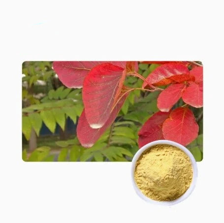 Bright Sunlight Fisetin 98% Extract Powder -- 10g / 50g / 100g Bulk