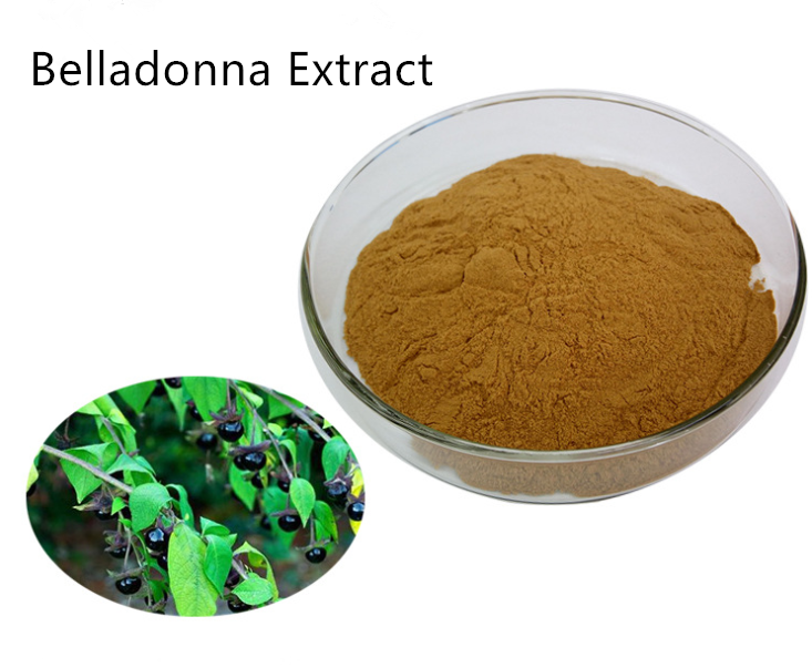 Lulairoa Belladonna 10:1 Extract Powder Raw Material , 200 grams-1000 grams