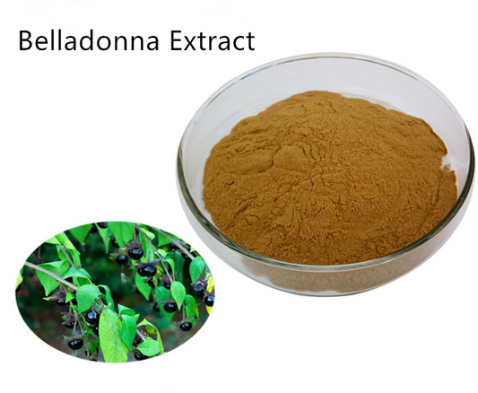 Belladonna 10:1 Extract Powder Raw Material , 200 grams-1000 grams