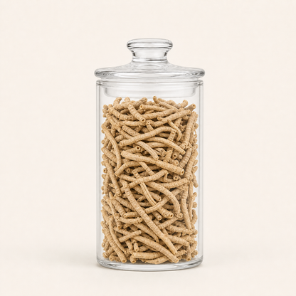 YUAN ZHI - 远志 -  Dried Polygala Tenuifolia Root