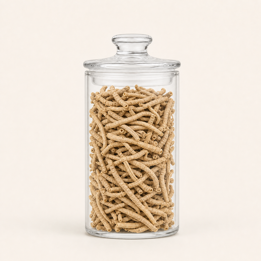 YUAN ZHI - 远志 -  Dried Polygala Tenuifolia Root