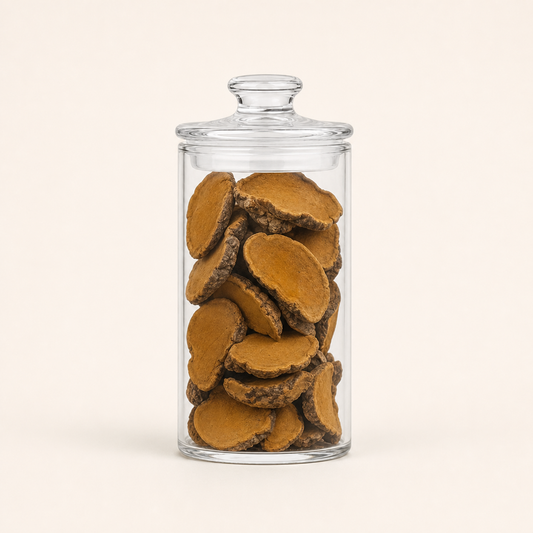 Sang Huang - 桑黄 - Chinese Herbs Dried Phellinus Linteus.