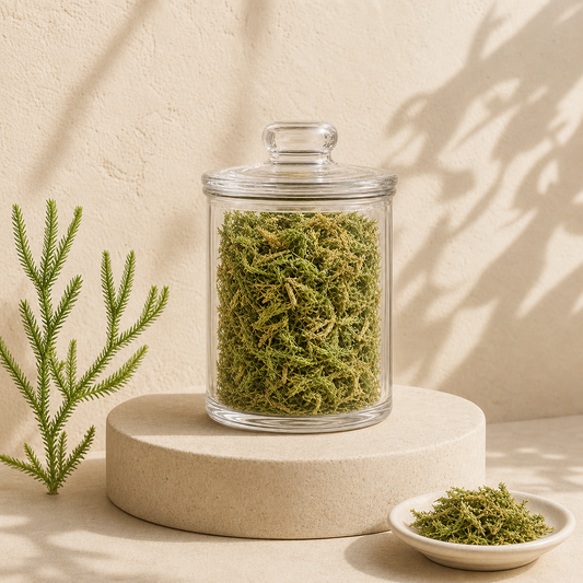 Traditional Chinese Medicine Shen Jin Cao Natural Japanese Clubmoss Herb