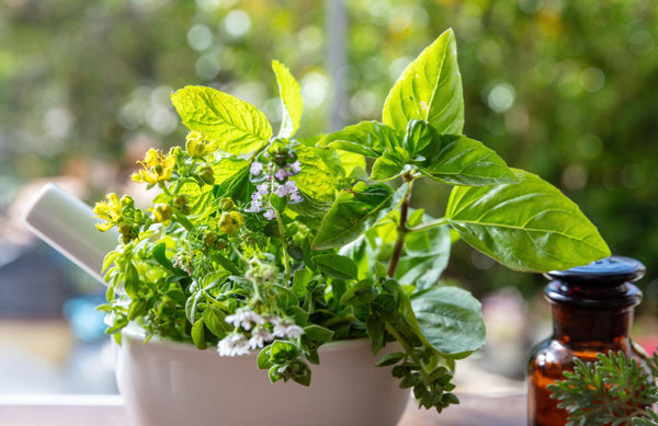 Everyday Botanicals